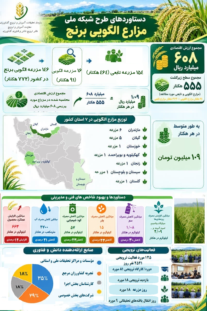 اینفوگرافی برنج.png